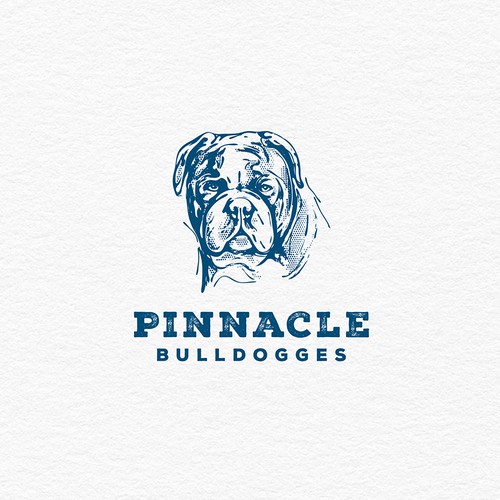 Logo concept "Pinnacle Bulldogges"