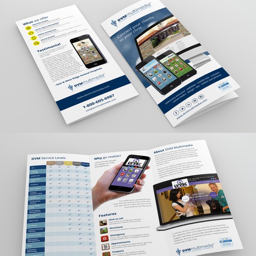 Veterinary Website Design Brochure