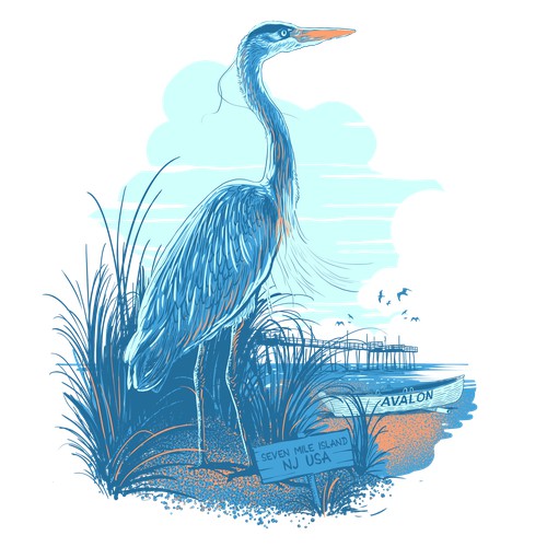 blue heron for seashore outfitters