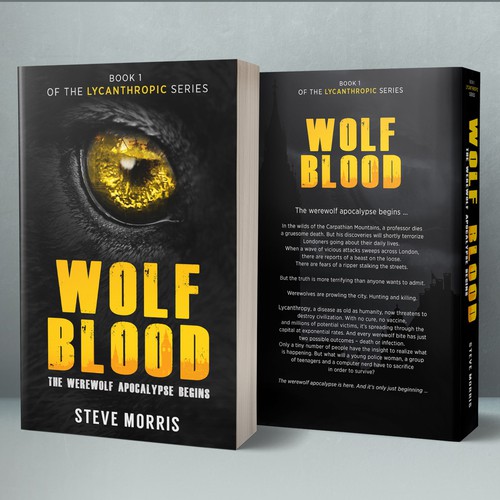 Book cover concept for Steve Morris