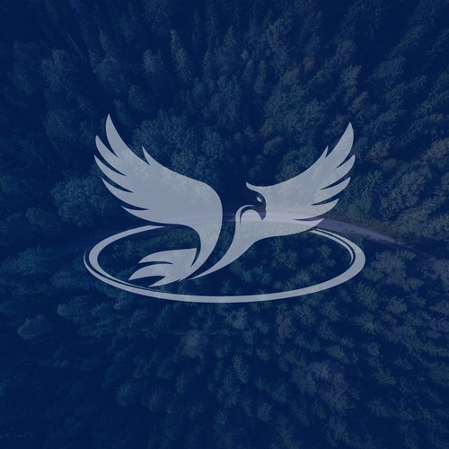 eagle drone