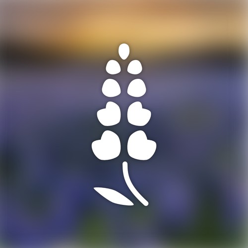 Contest-winning bluebonnet logo