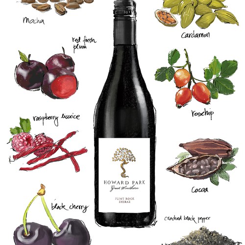 Hand Drawn illustration for a wine company