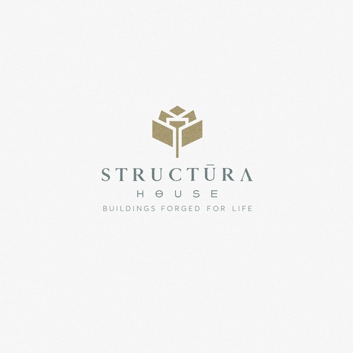 Stuctura house