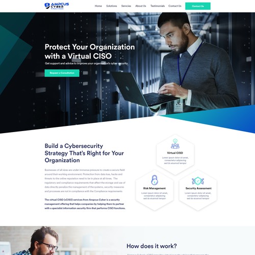 landing page for our Virtual CISO services