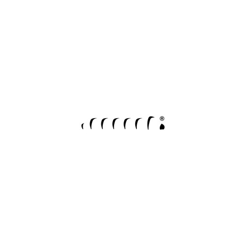 The worm project logo concept