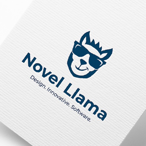 Novel Llama