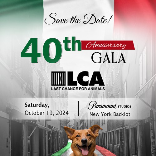 Graphics for NonProfit 40th Anniversary Gala