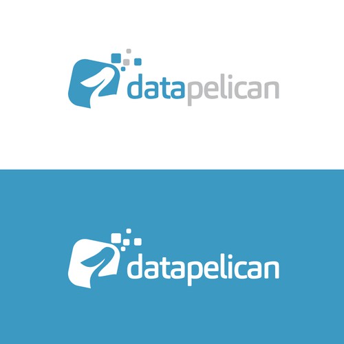 DataPelican