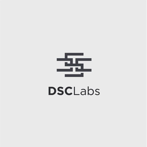 Bold logo concept for DSC Labs