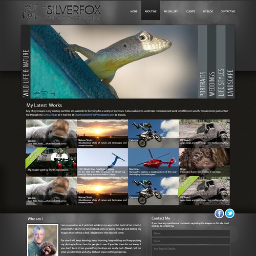 New website design wanted for SilverFox Photography