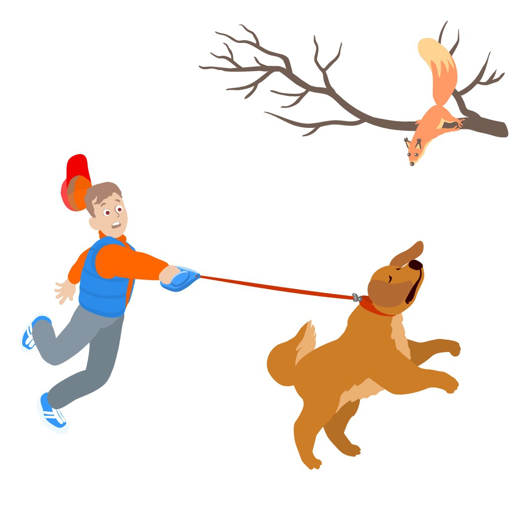 Alpha Leash - Facebook Image Ad