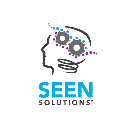 Seen Solutions LTD