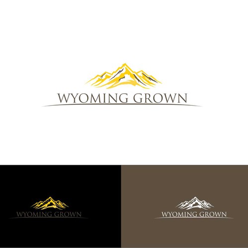 Your awesome, eye-catching logo will be highly visible for our state agency