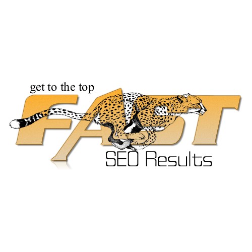 LOGO for FastSEOResults (search engine company)