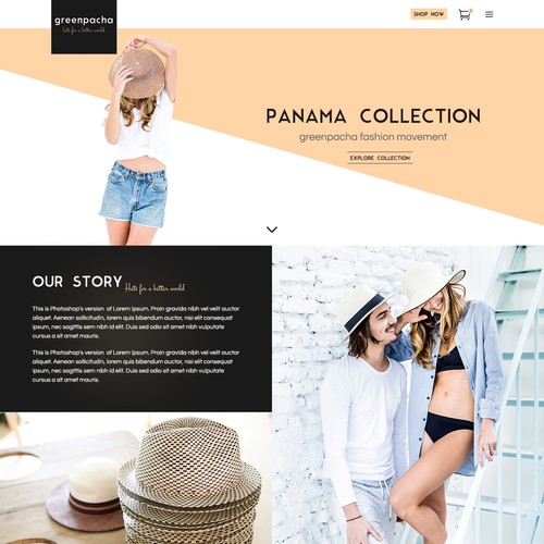 Wordpress Theme Design for the Hats Online Store