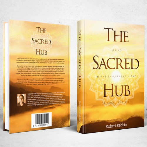 Book Cover for The Sacred Hub