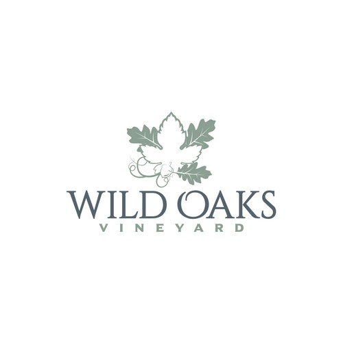 Oak Vinyeard