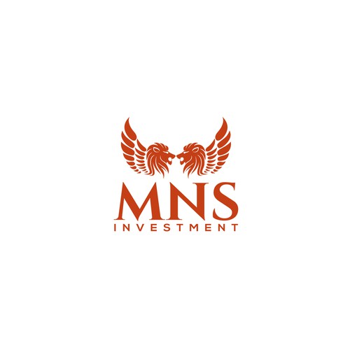 MNS-Investment