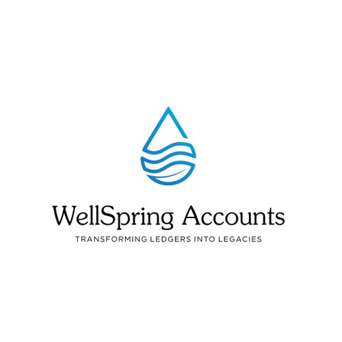 WellSpring Accounts