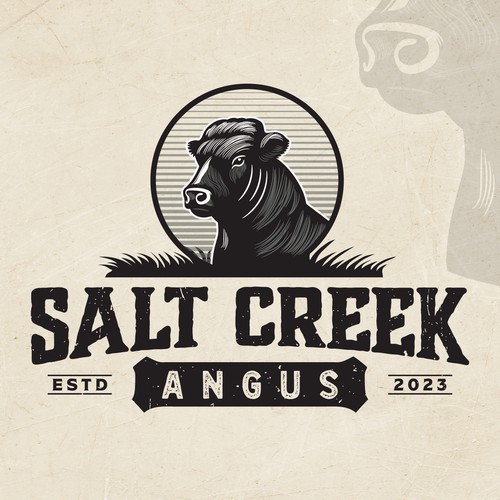 Salt Creek Angus