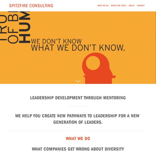 SpitzFire Consulting