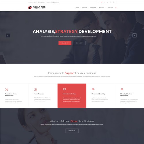 Agilla Pro Consulting - Website Design