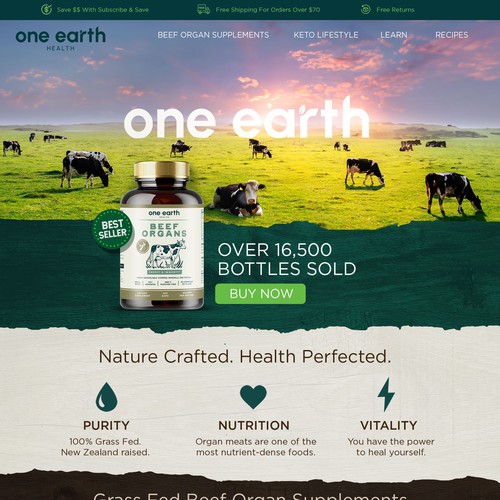 Web Design for One Earth
