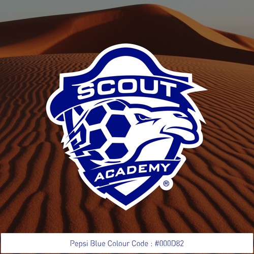 Scout Soccer Academy