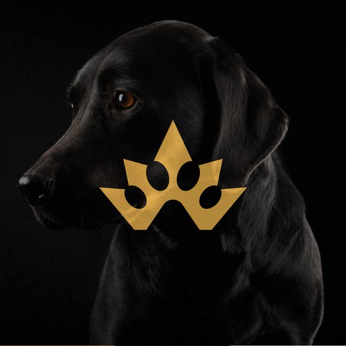 Premium Pet Crown Logo