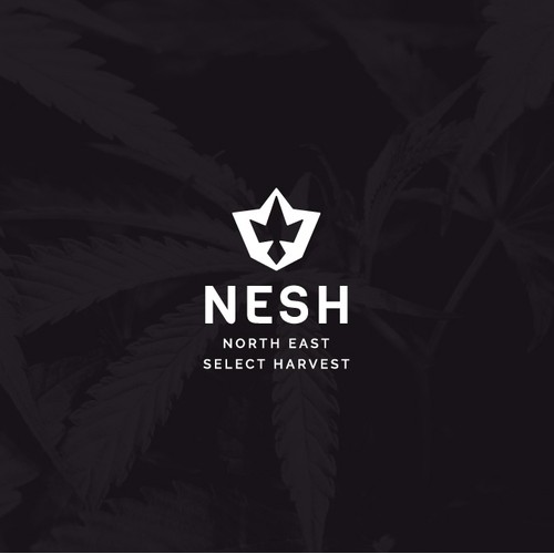 Logo concept for cannabis dispensary