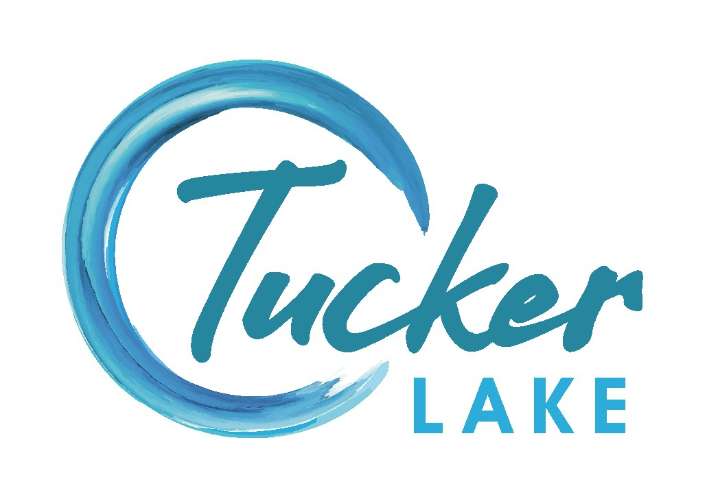 Design a playful logo for a lake waterpark and RV campground