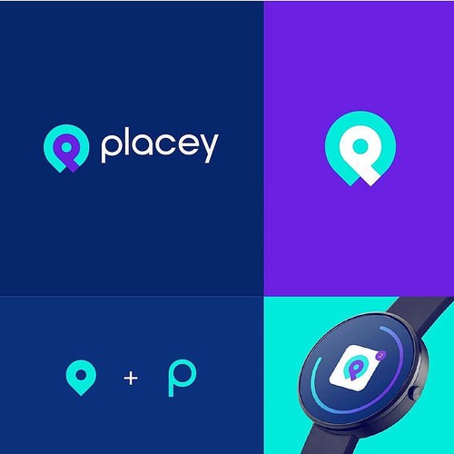 Placey Logo Deisgn & Presentation