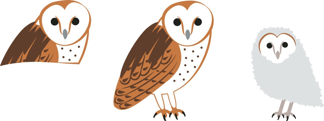 Barn Owl Icon