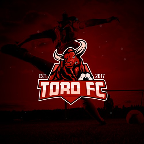 sport logo for TORO FC