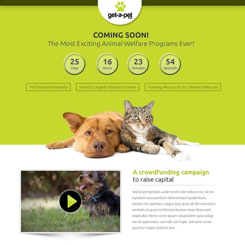 Help Design A Stunning Holding Page To Help Save Millions of Animals