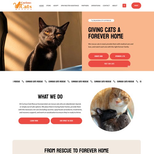 Warm, donation-focused website for an Oklahoma City cat rescue