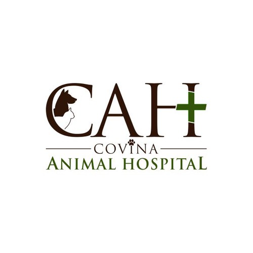 Re-create a logo for an Animal Hospital