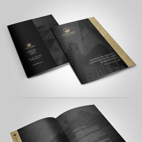 CitySky Investment Group BROCHURE