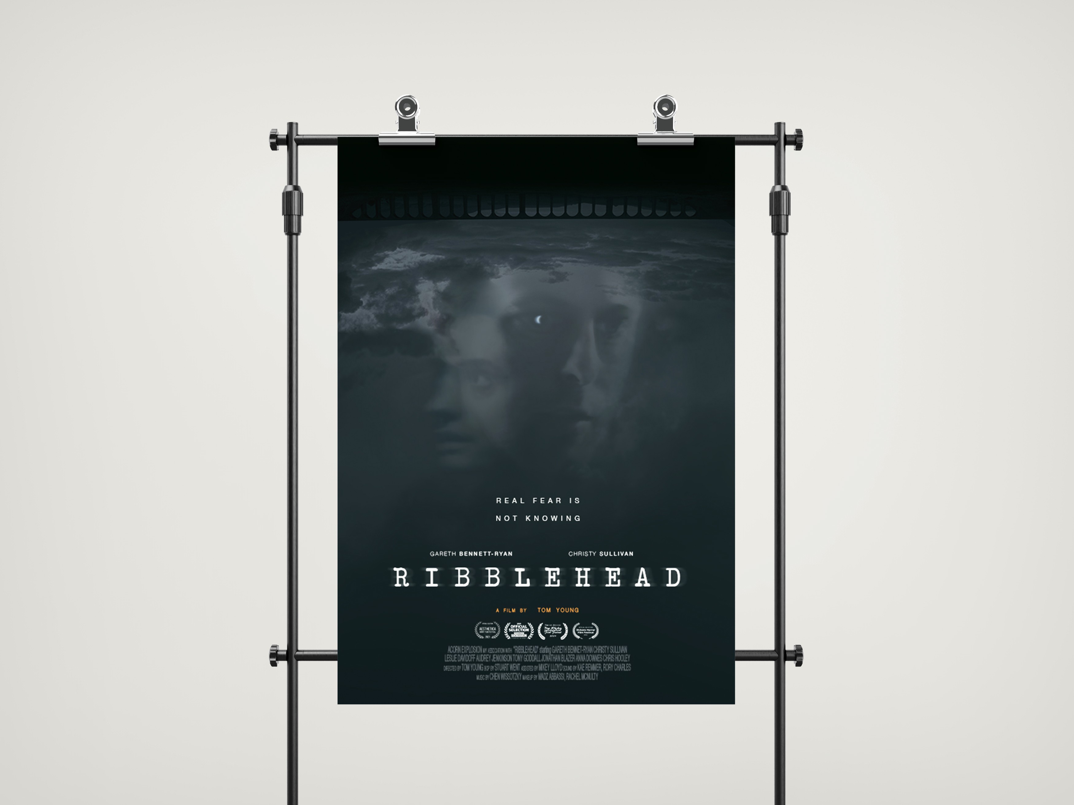 Design a poster for a psychological thriller set in the Yorkshire Dales