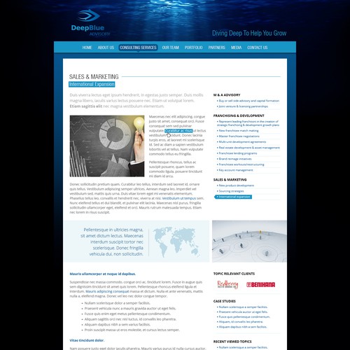 website design for DeepBlue Advisory