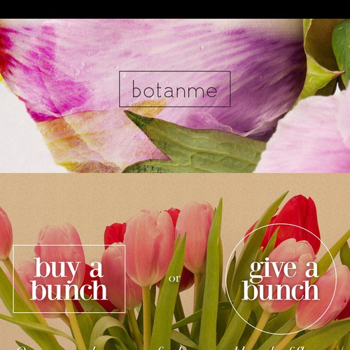 Website Design
