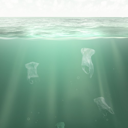 Website photo realism illustration ocean 