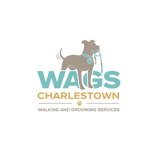 Pet Grooming And Walking Service