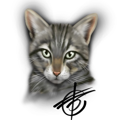 Pet cat portrait 