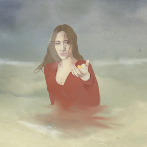 Album cover entry