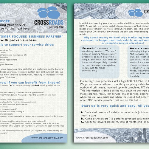 Exciting Product flyer - 2 sided - graphics needed