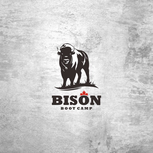 Bison Boot Camp