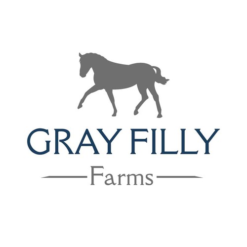 Need classic logo design for beautiful horse business