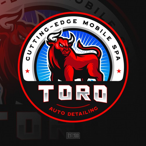 Toro Auto Detailing